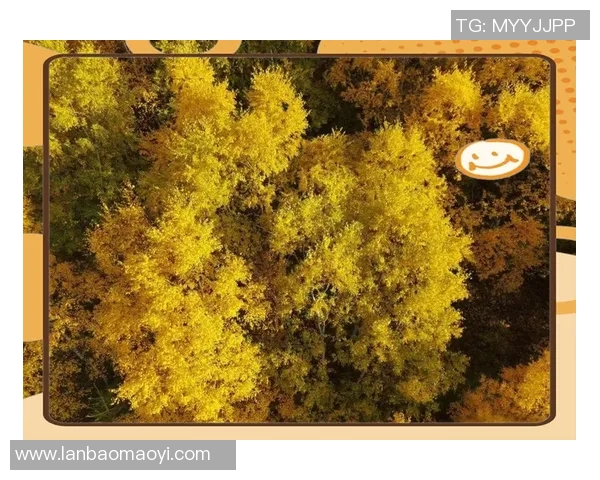 探索苏木达尔基的历史文化与自然风光之美